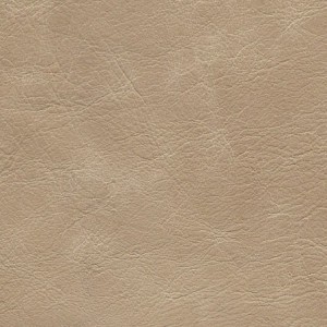 1101 Biscuit - Carleather